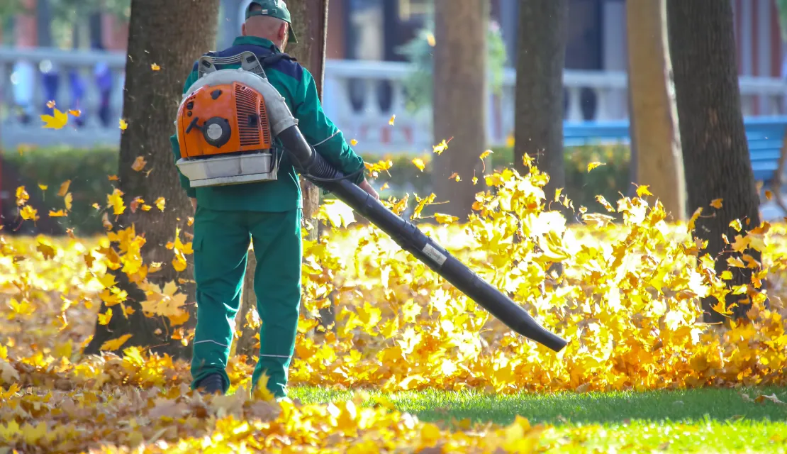 Fall Cleanup landscaping services