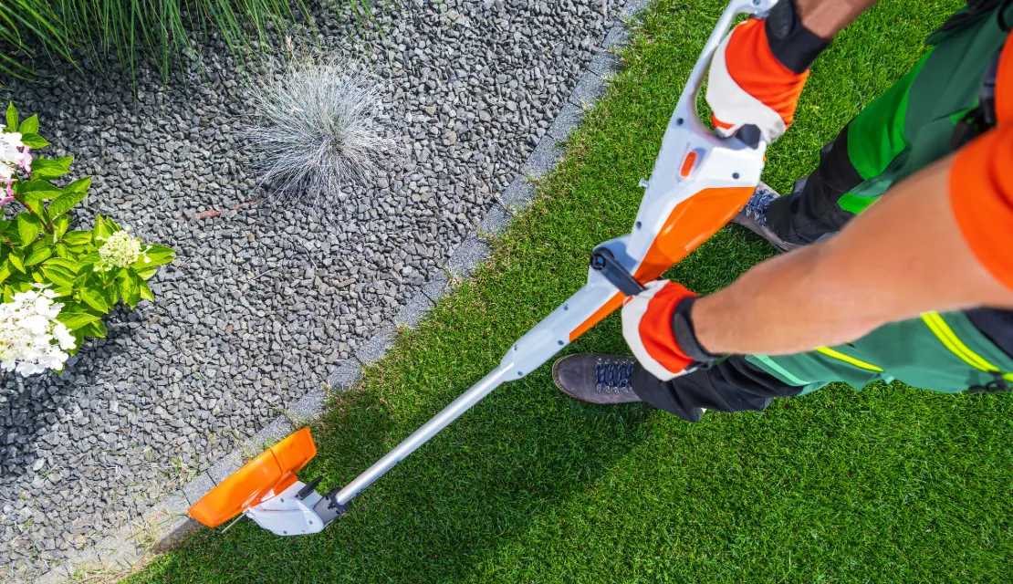 Lawn Edging service