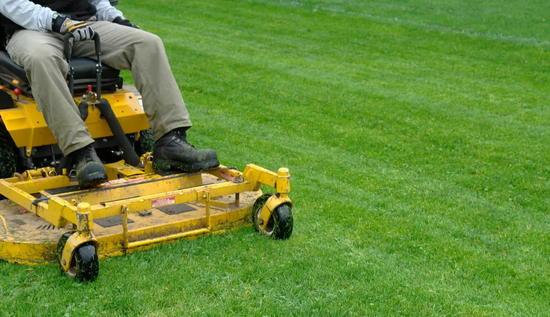 Lawn Care service