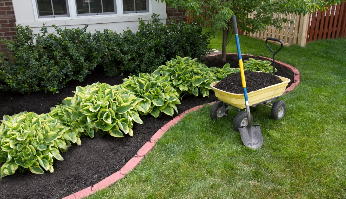 Lawn Mulching service
