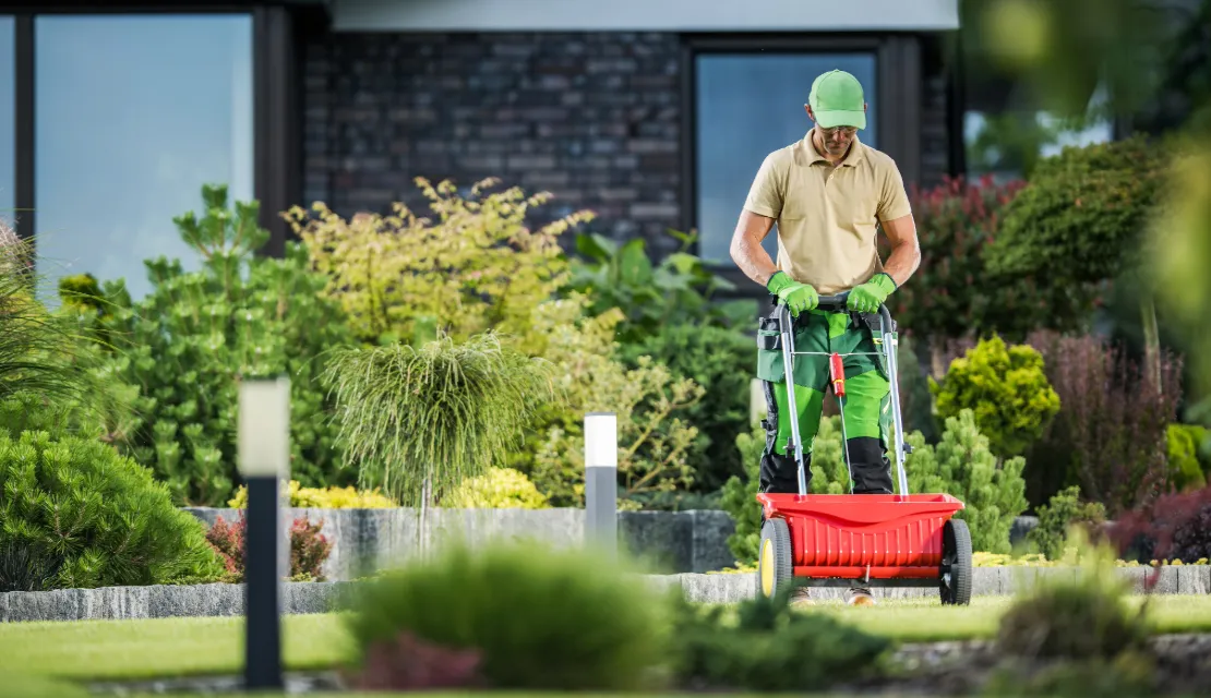 Lawn seeding service